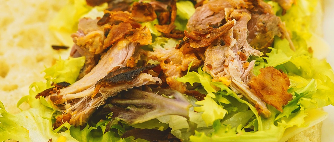 Close up shot of pulled pork with vegetables