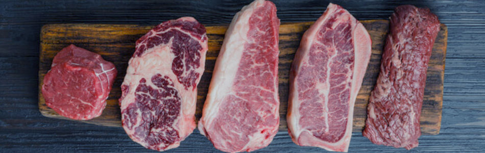 how to start carnivore diet