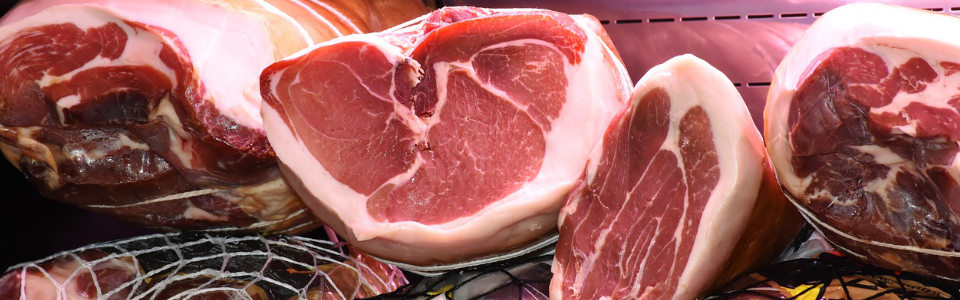 what is carnivore diet