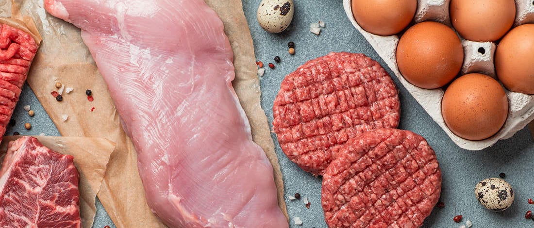 carnivore diet on a budget