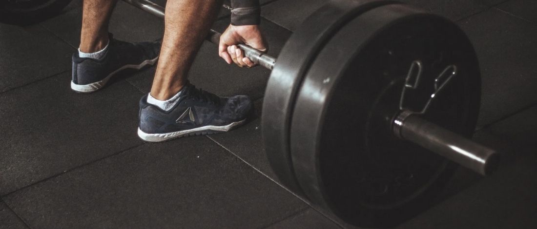 bbodybuildingodybuilding