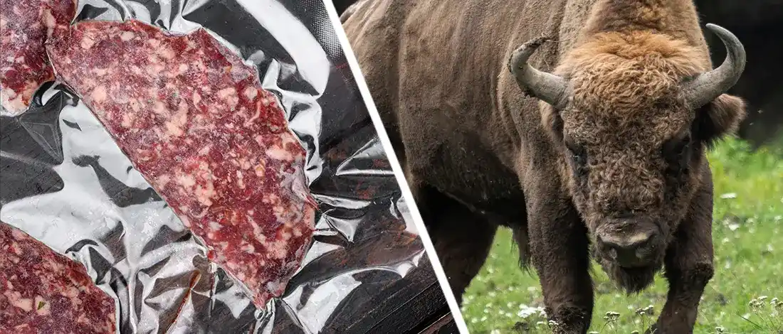 Bison close up vacuum