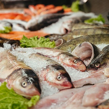 Different fresh seafoods on a shop